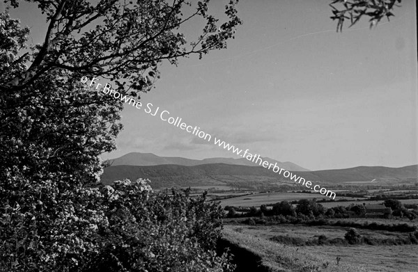 GALTEES FROM TIPPERARY